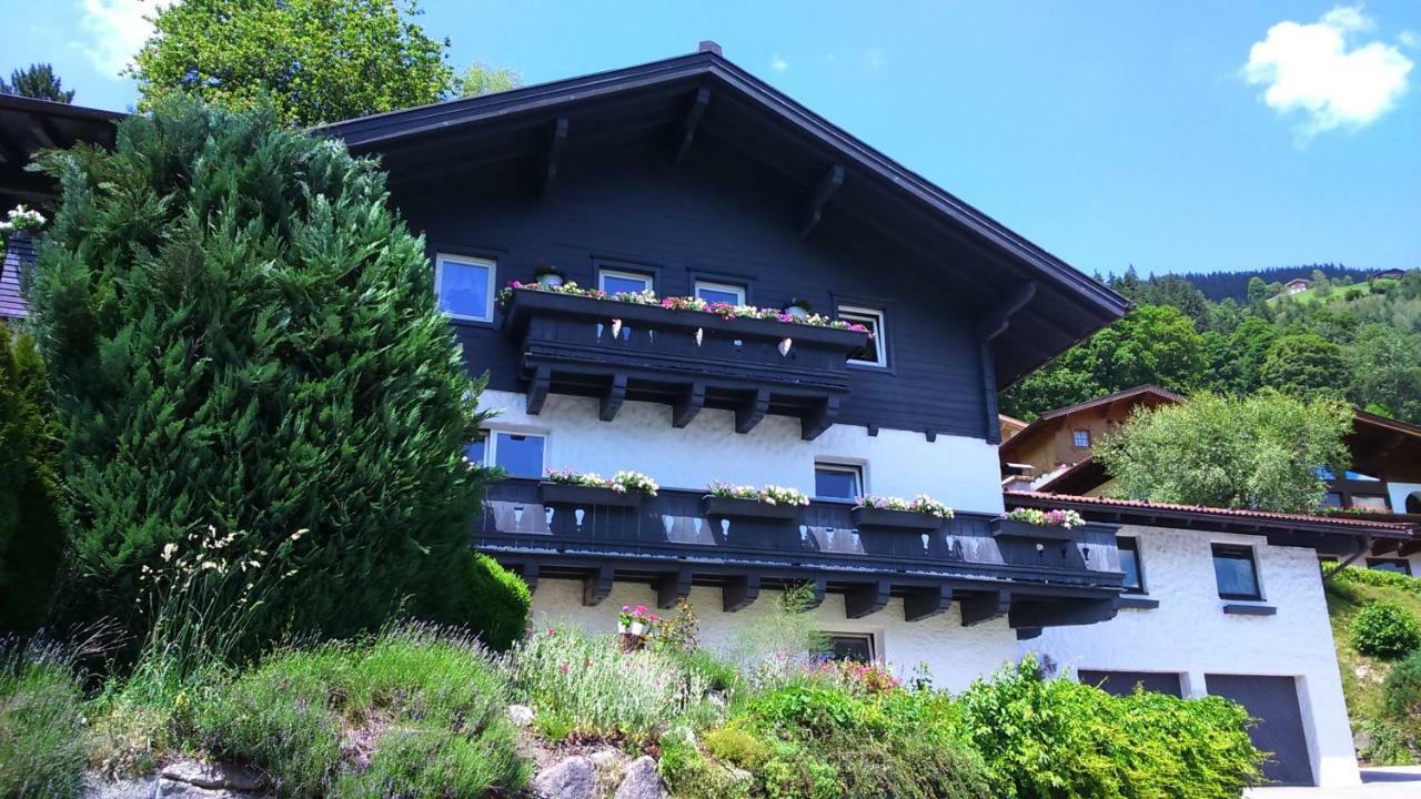 Apartament Emma Bramberg am Wildkogel Zewnętrze zdjęcie